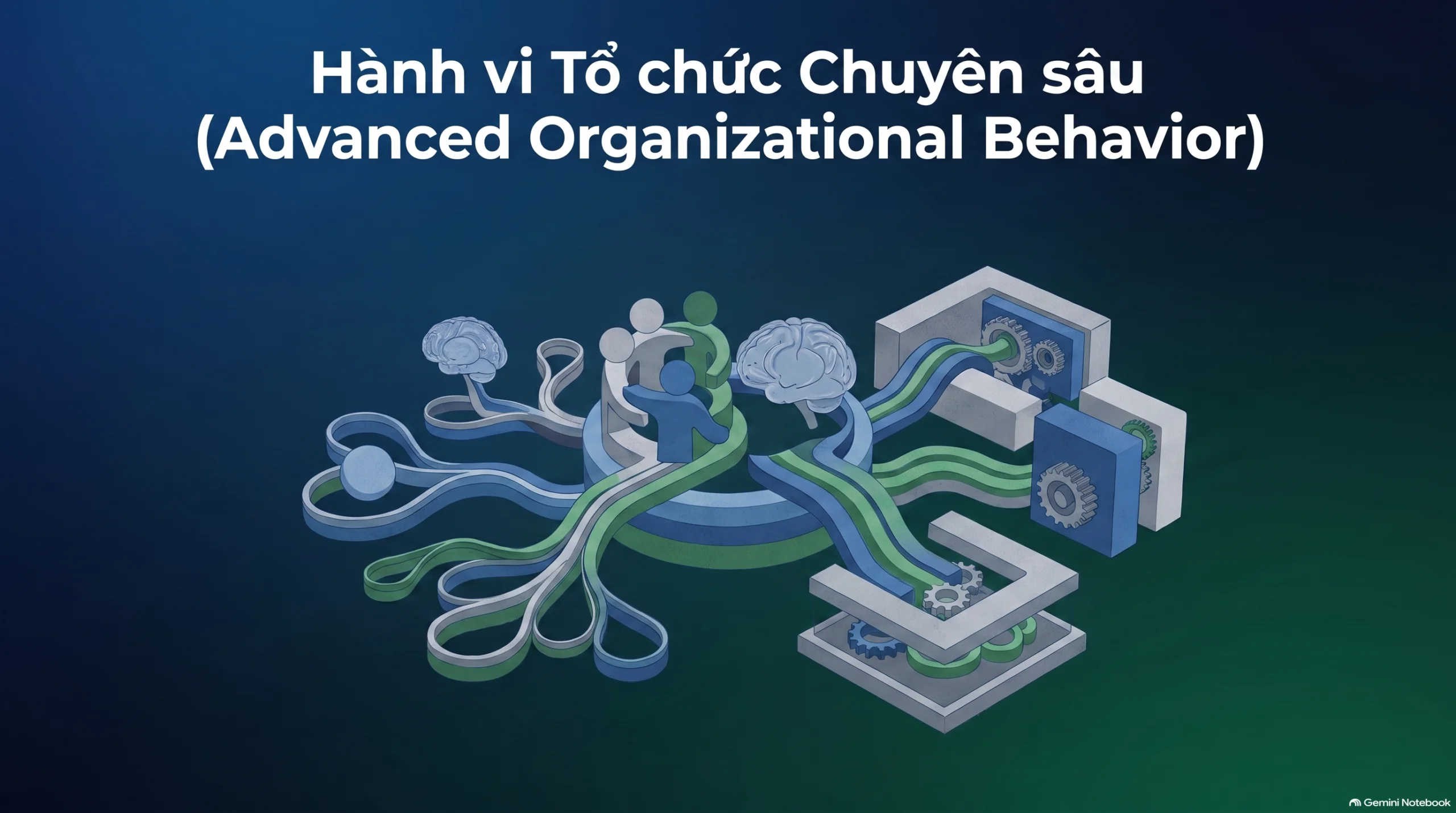Hành vi Tổ chức Chuyên sâu (Advanced Organizational Behavior)
