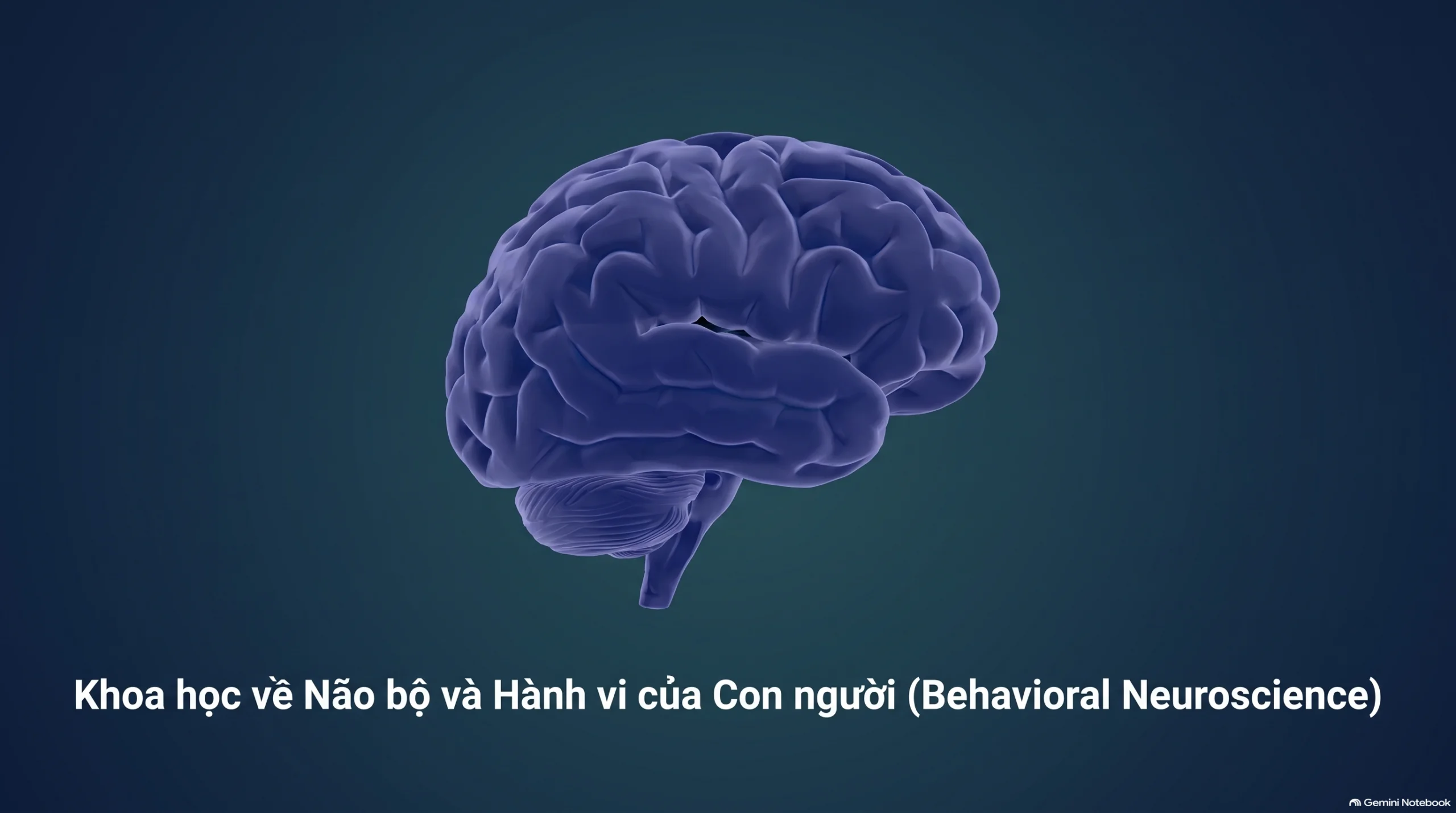 Khoa học về Não bộ và Hành vi của Con người (Behavioral Neuroscience)