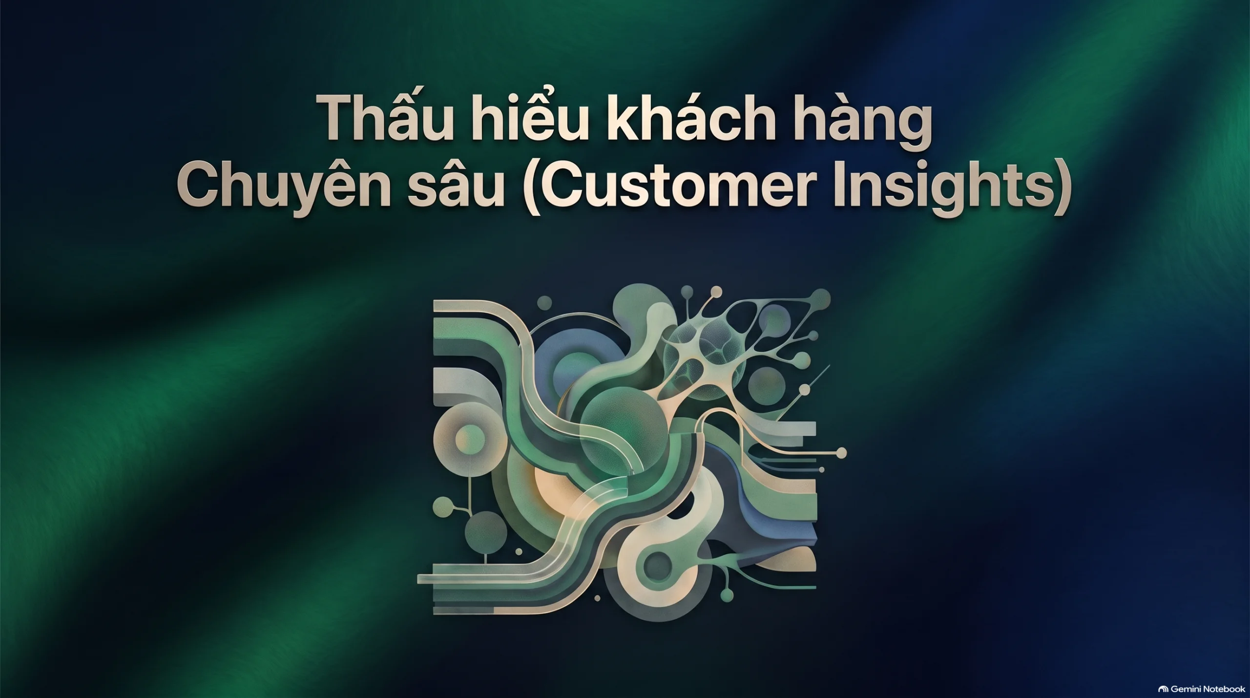 Thấu hiểu khách hàng Chuyên sâu (Customer Insights)